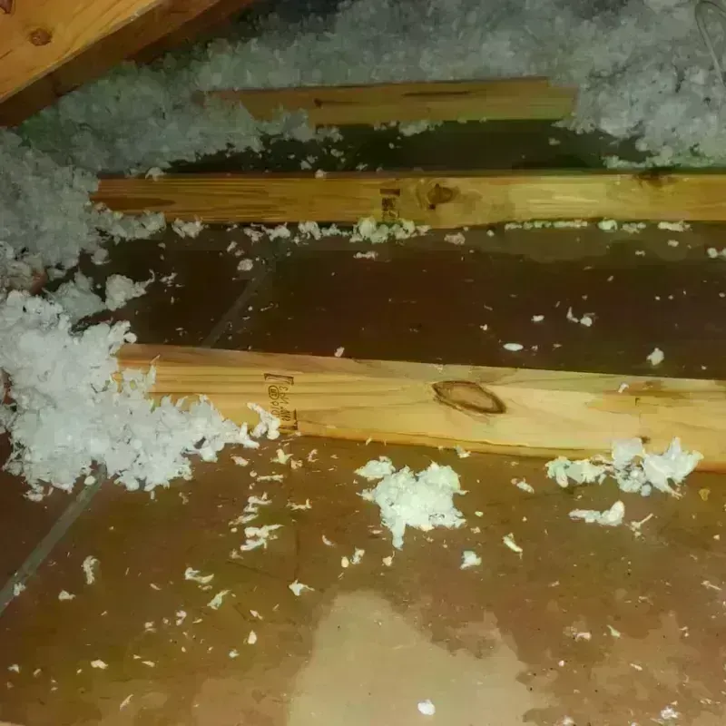 Attic Water Damage in New Augusta, MS